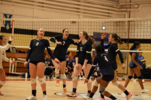 volleyball-1024x683